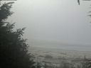 ./images/calvert/beach/20200911/beach20200911_100502.jpg