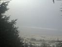 ./images/calvert/beach/20200911/beach20200911_101002.jpg