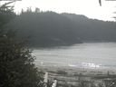 ./images/calvert/beach/20200916/beach20200916_132003.jpg