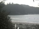 ./images/calvert/beach/20200916/beach20200916_140502.jpg