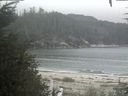 ./images/calvert/beach/20200917/beach20200917_131002.jpg