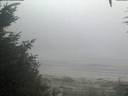 ./images/calvert/beach/20200918/beach20200918_071001.jpg