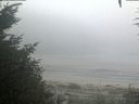 ./images/calvert/beach/20200918/beach20200918_071502.jpg