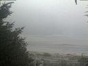 ./images/calvert/beach/20200918/beach20200918_072002.jpg