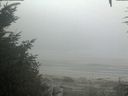 ./images/calvert/beach/20200918/beach20200918_074002.jpg