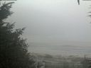 ./images/calvert/beach/20200918/beach20200918_074502.jpg