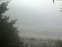 ./images/calvert/beach/20200918/beach20200918_080503.jpg