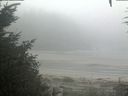 ./images/calvert/beach/20200918/beach20200918_081002.jpg