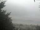 ./images/calvert/beach/20200918/beach20200918_081502.jpg