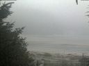 ./images/calvert/beach/20200918/beach20200918_082003.jpg