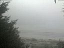 ./images/calvert/beach/20200918/beach20200918_083503.jpg