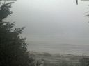 ./images/calvert/beach/20200918/beach20200918_084003.jpg