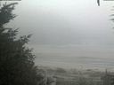 ./images/calvert/beach/20200918/beach20200918_084502.jpg