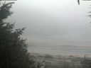 ./images/calvert/beach/20200918/beach20200918_090501.jpg
