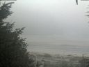 ./images/calvert/beach/20200918/beach20200918_091002.jpg