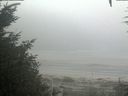 ./images/calvert/beach/20200918/beach20200918_094003.jpg