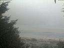 ./images/calvert/beach/20200918/beach20200918_094502.jpg