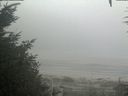 ./images/calvert/beach/20200918/beach20200918_095003.jpg
