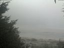 ./images/calvert/beach/20200918/beach20200918_095502.jpg