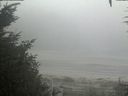 ./images/calvert/beach/20200918/beach20200918_101002.jpg