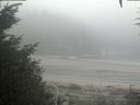 ./images/calvert/beach/20200918/beach20200918_101502.jpg