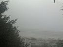 ./images/calvert/beach/20200918/beach20200918_114002.jpg