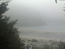 ./images/calvert/beach/20200918/beach20200918_115003.jpg
