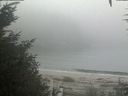 ./images/calvert/beach/20200918/beach20200918_130503.jpg