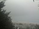 ./images/calvert/beach/20200918/beach20200918_131001.jpg