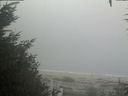 ./images/calvert/beach/20200918/beach20200918_131503.jpg