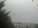 ./images/calvert/beach/20200918/beach20200918_132003.jpg