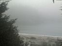 ./images/calvert/beach/20200918/beach20200918_133502.jpg