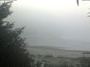 ./images/calvert/beach/20201002/beach20201002_080503.jpg