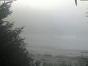 ./images/calvert/beach/20201002/beach20201002_083502.jpg
