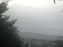 ./images/calvert/beach/20201002/beach20201002_085003.jpg