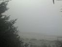 ./images/calvert/beach/20201002/beach20201002_091003.jpg