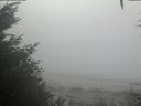 ./images/calvert/beach/20201002/beach20201002_091503.jpg