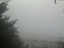 ./images/calvert/beach/20201002/beach20201002_092002.jpg