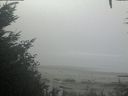 ./images/calvert/beach/20201002/beach20201002_101002.jpg