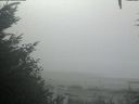 ./images/calvert/beach/20201002/beach20201002_102501.jpg