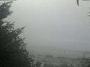 ./images/calvert/beach/20201002/beach20201002_104502.jpg