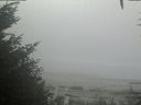 ./images/calvert/beach/20201002/beach20201002_105502.jpg
