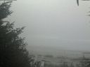 ./images/calvert/beach/20201002/beach20201002_110501.jpg