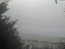 ./images/calvert/beach/20201002/beach20201002_111003.jpg