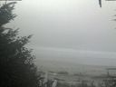 ./images/calvert/beach/20201002/beach20201002_112002.jpg