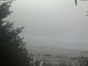 ./images/calvert/beach/20201002/beach20201002_112503.jpg