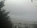 ./images/calvert/beach/20201002/beach20201002_113503.jpg