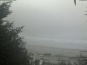 ./images/calvert/beach/20201002/beach20201002_114502.jpg