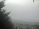 ./images/calvert/beach/20201002/beach20201002_115001.jpg