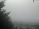 ./images/calvert/beach/20201002/beach20201002_120502.jpg